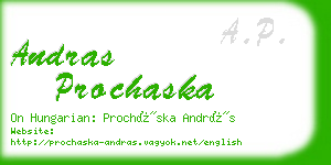 andras prochaska business card